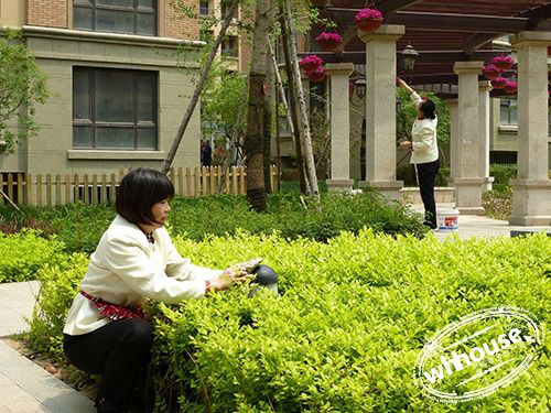 С�^(q��)�����й�